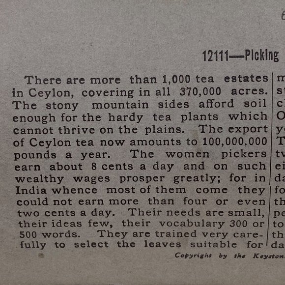 Antique 1901 Stereoview Photo Card Tea Gatherers Galle Ceylon Hill Country - Picture 6 of 9